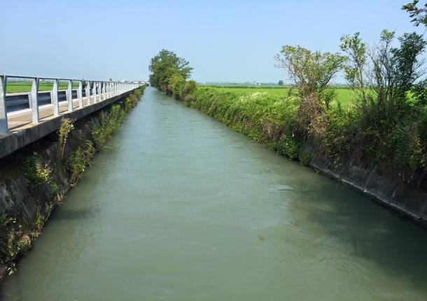 via francigena santhià vercelli