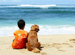 Animali in vacanza