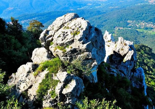 campo dei fiori palestra roccia nanda belliti