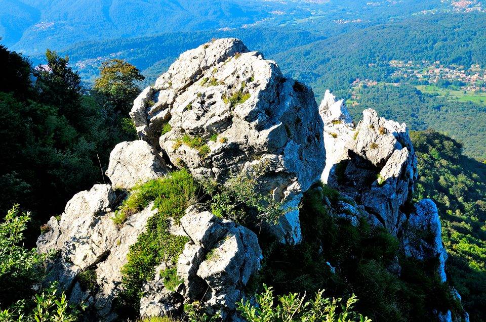 campo dei fiori palestra roccia nanda belliti