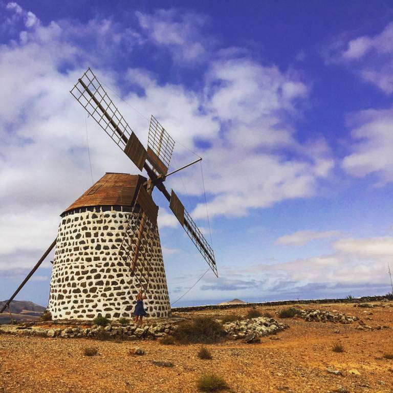 Canarie