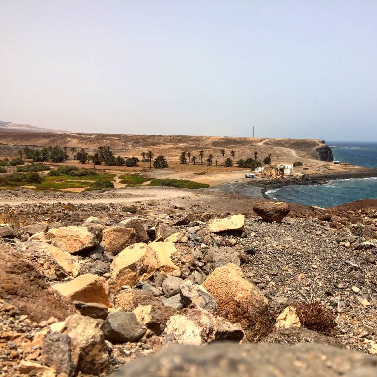 Canarie