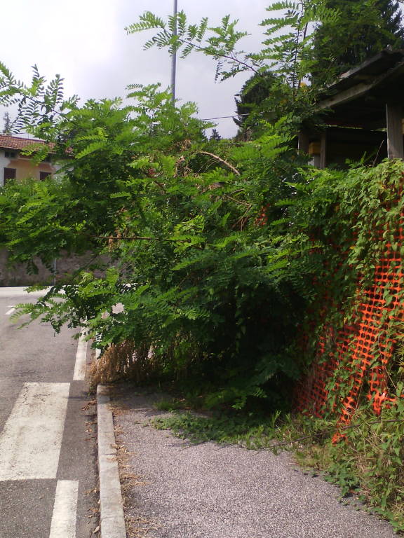 Sant\'Ambrogio abbandonata!