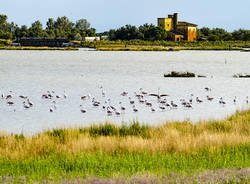 Le Valli di Comacchio