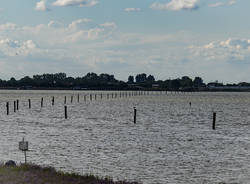 Le Valli di Comacchio