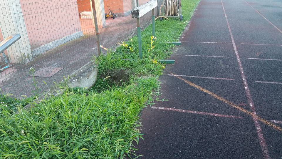 La pista di atletica di Gavirate in pessime condizioni