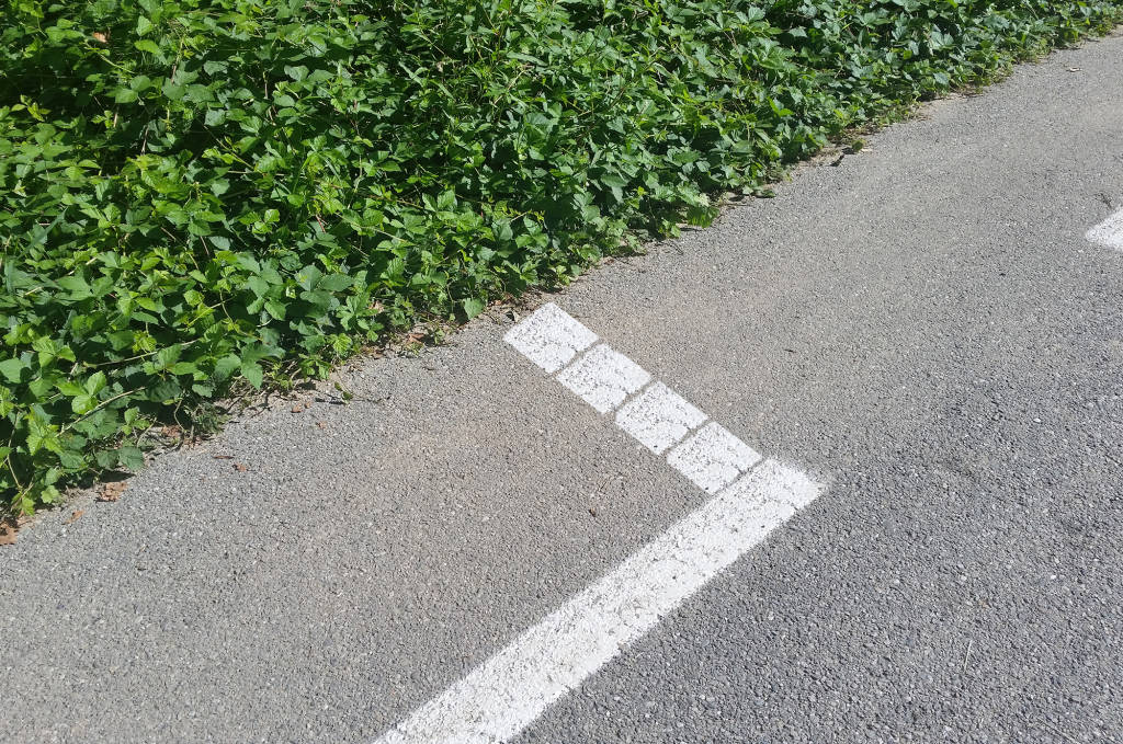 Quanta ciclabile abbiamo perso?