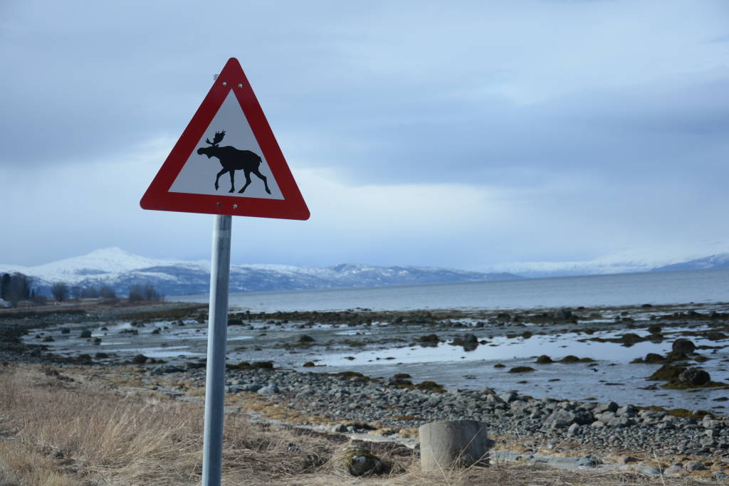 Norvegia