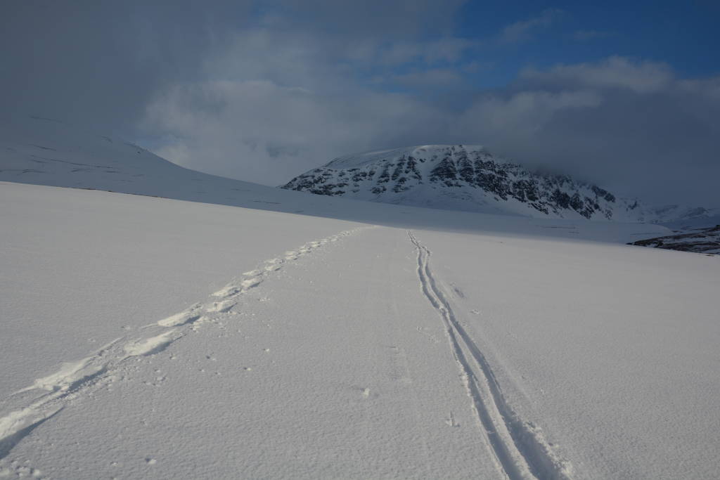 Norvegia