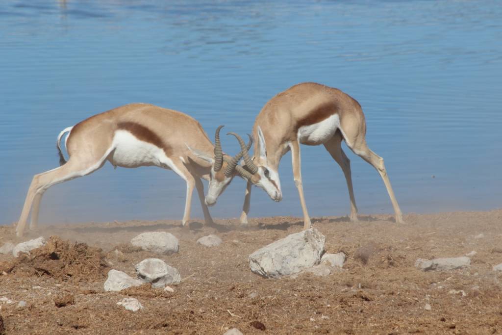 This is Namibia