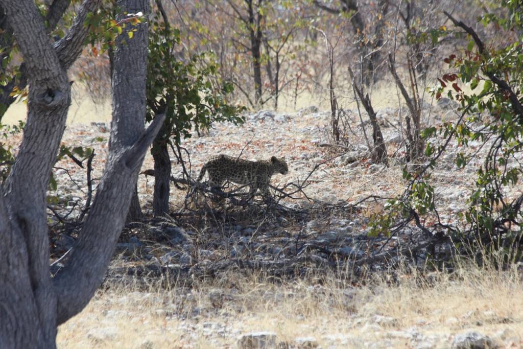 This is Namibia