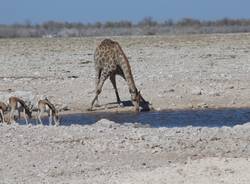 This is Namibia