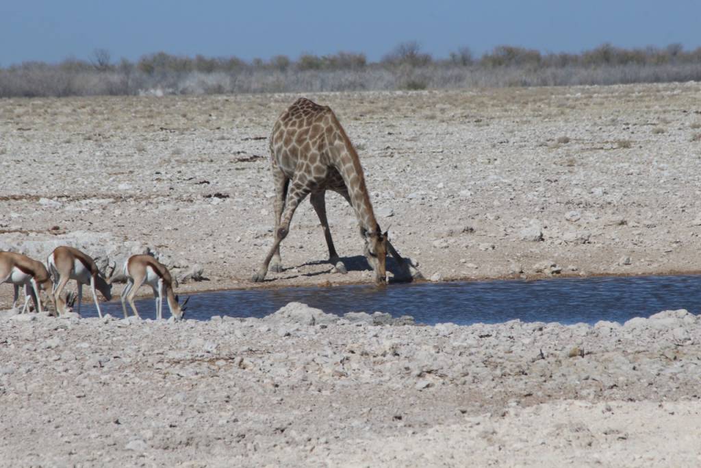 This is Namibia
