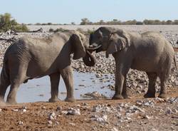This is Namibia