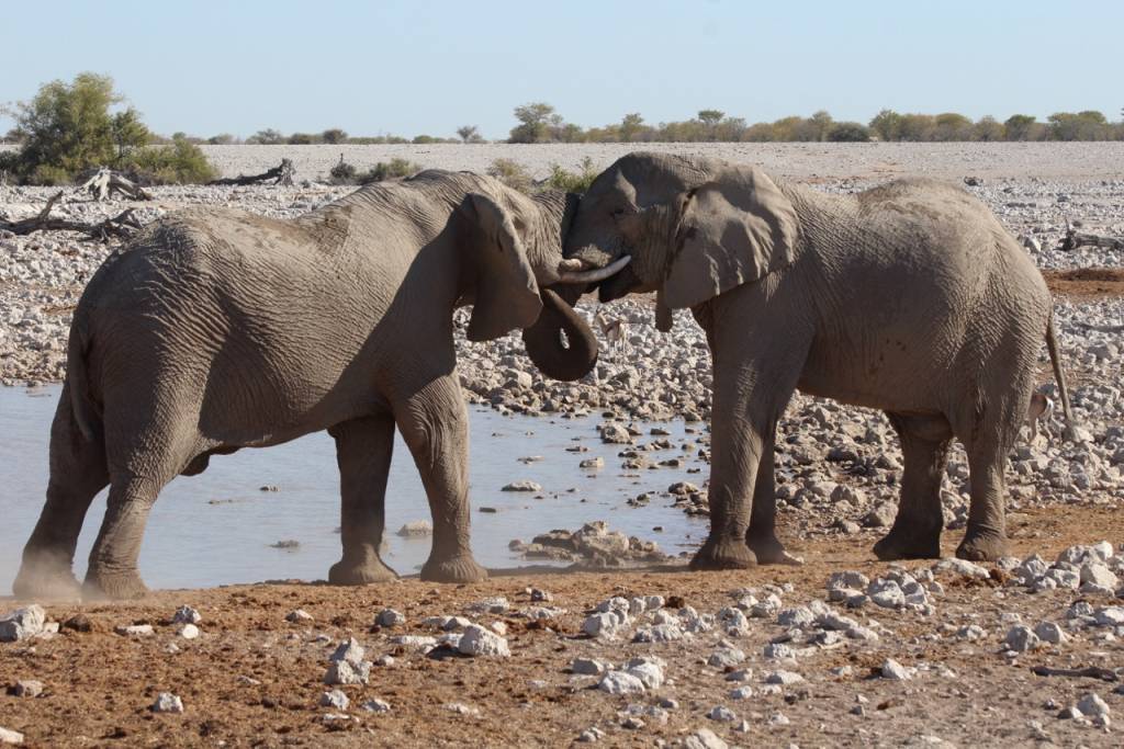 This is Namibia