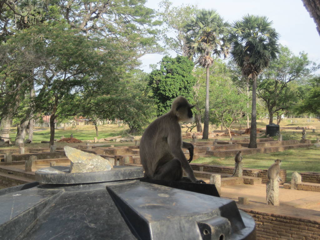 L\'incantevole Sri Lanka