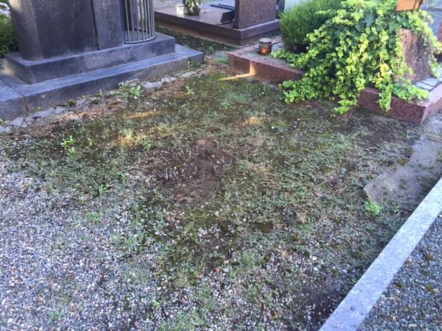 Cimitero di Cazzago Brabbia