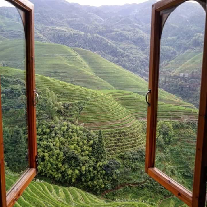 cina