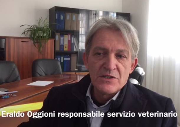 eraldo oggioni direttore veterinari ast