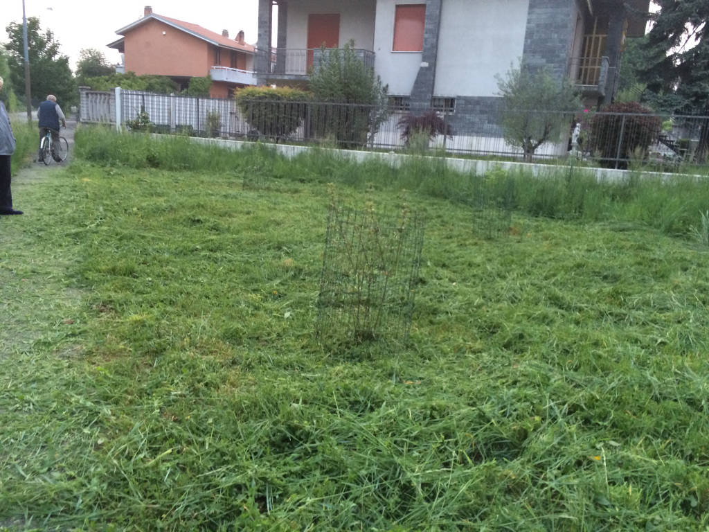 Gli alberi di via Stradella