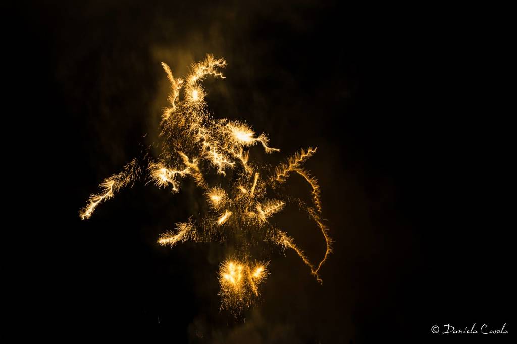 Il drago