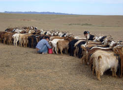 Il mio viaggio in Mongolia