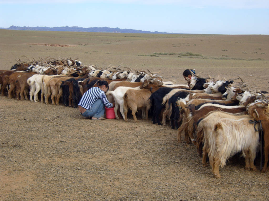 Il mio viaggio in Mongolia