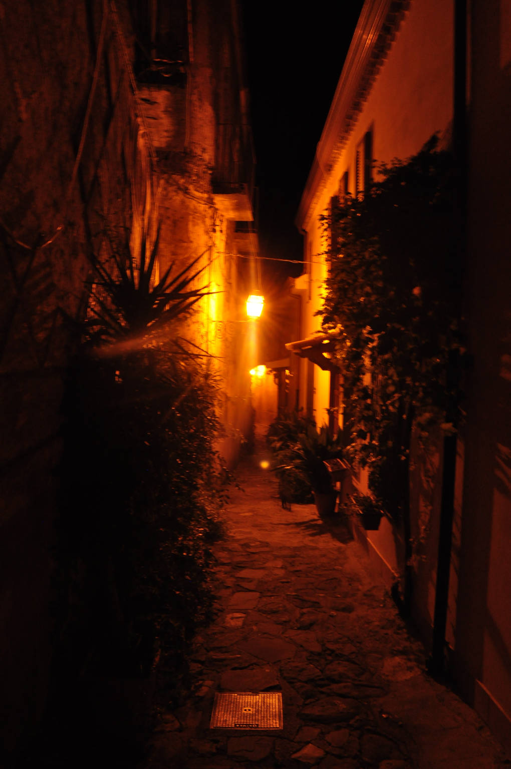 Ischia e Castellabate. Dal tramonto all'alba