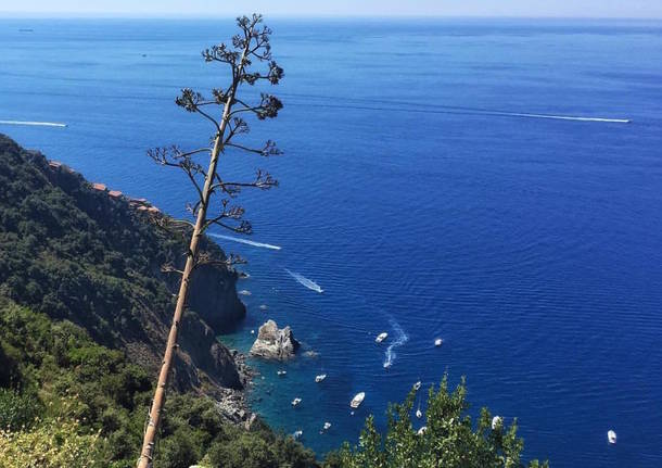 Italia Mondo generiche