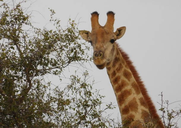 Sudafrica, nel paese dei sorrisi