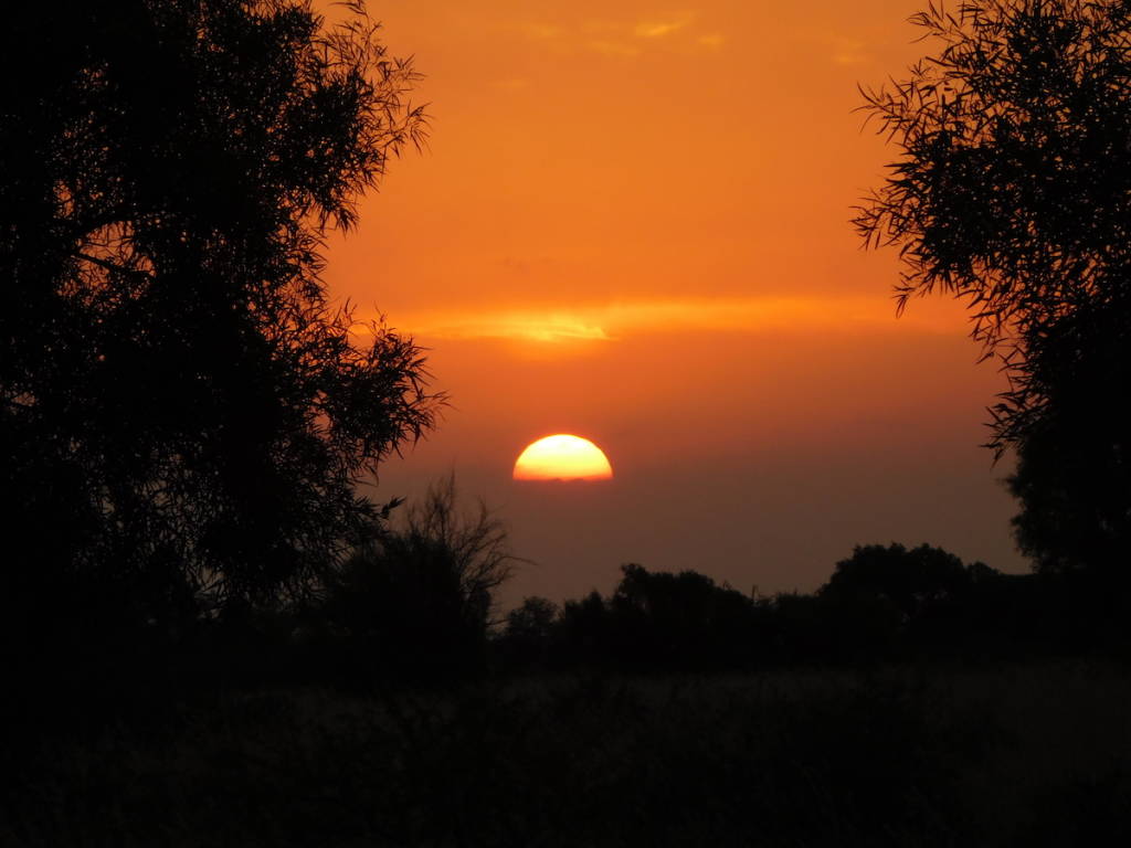 L'Africa che fa sognare