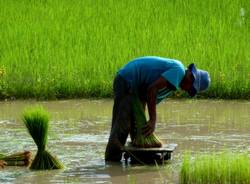 Laos e Cambogia