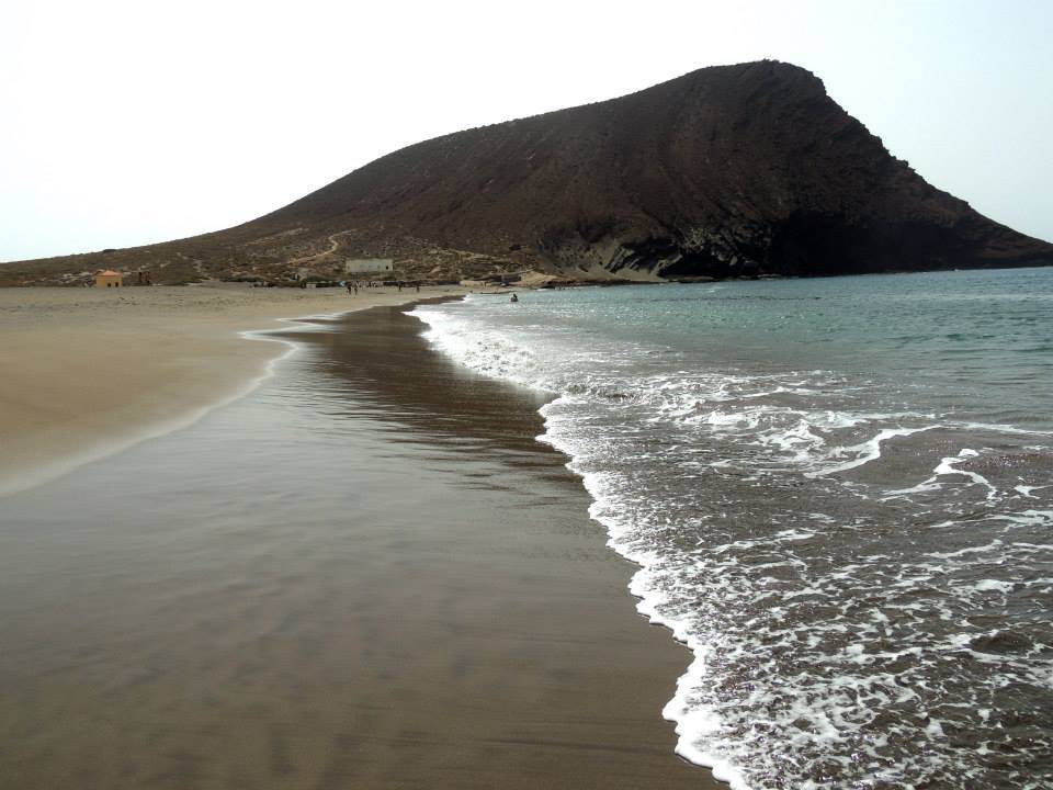 Le Canarie