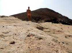 Le Canarie
