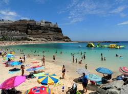 Le Canarie