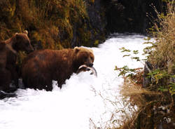 Nella splendida Alaska