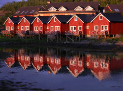 Norvegia, Florida e Patagonia