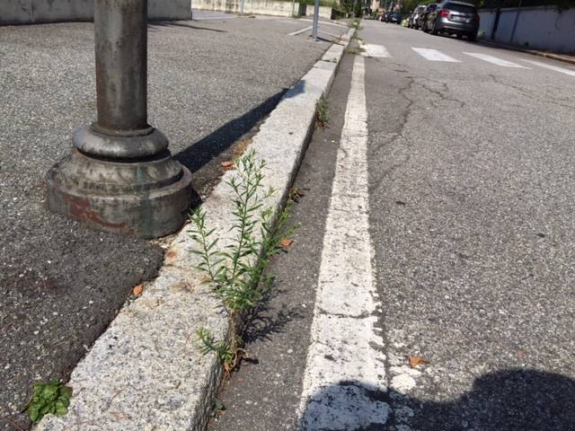 parcheggi casbeno provincia di varese