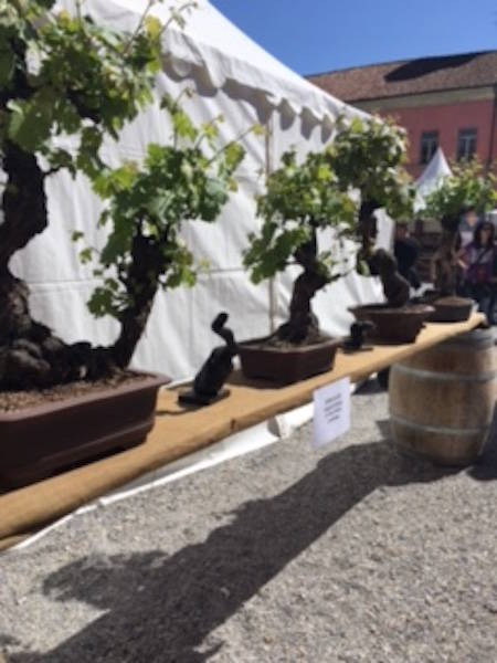 Piemonte e Langhe
