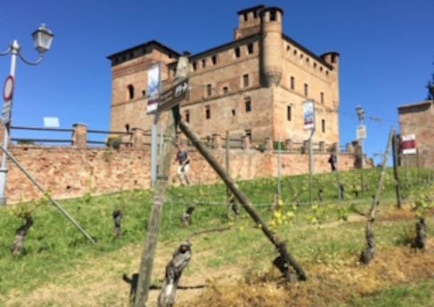 Piemonte e Langhe