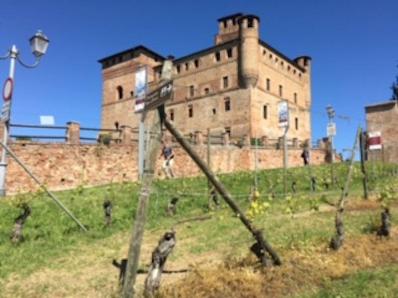 Piemonte e Langhe