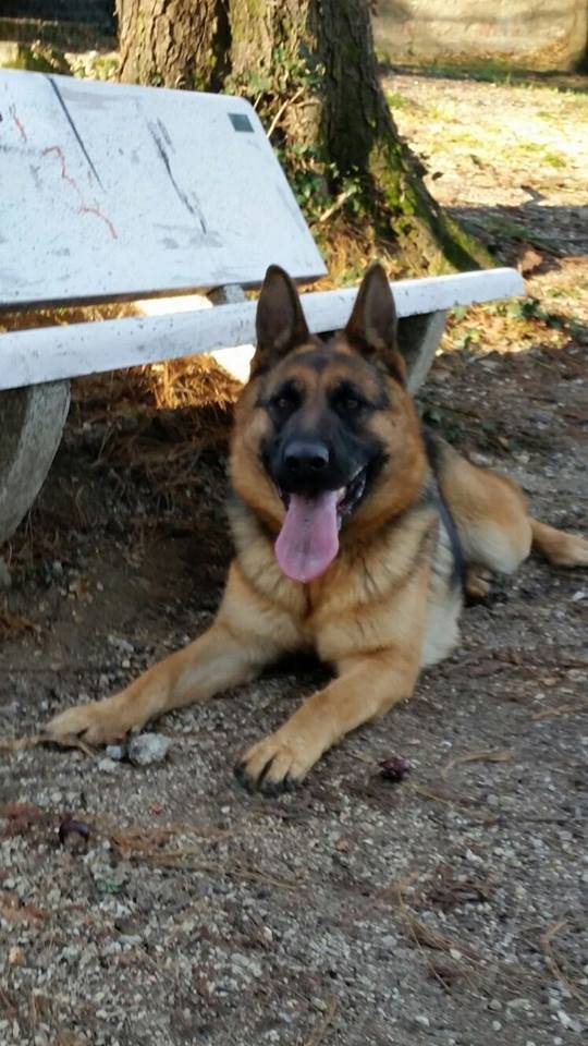 Sofia