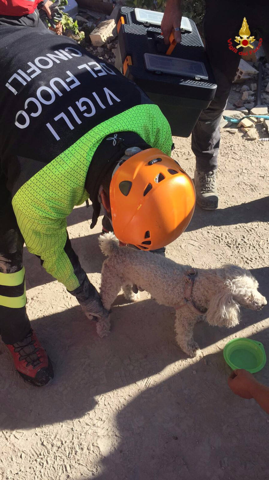 terremoto vigili del fuoco varese