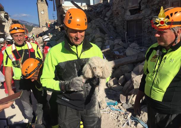 Il super-lavoro dei Vigili del Fuoco ad Amatrice