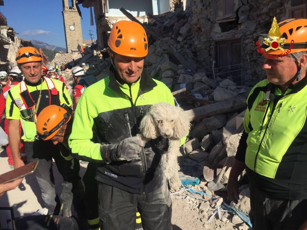 terremoto vigili del fuoco varese