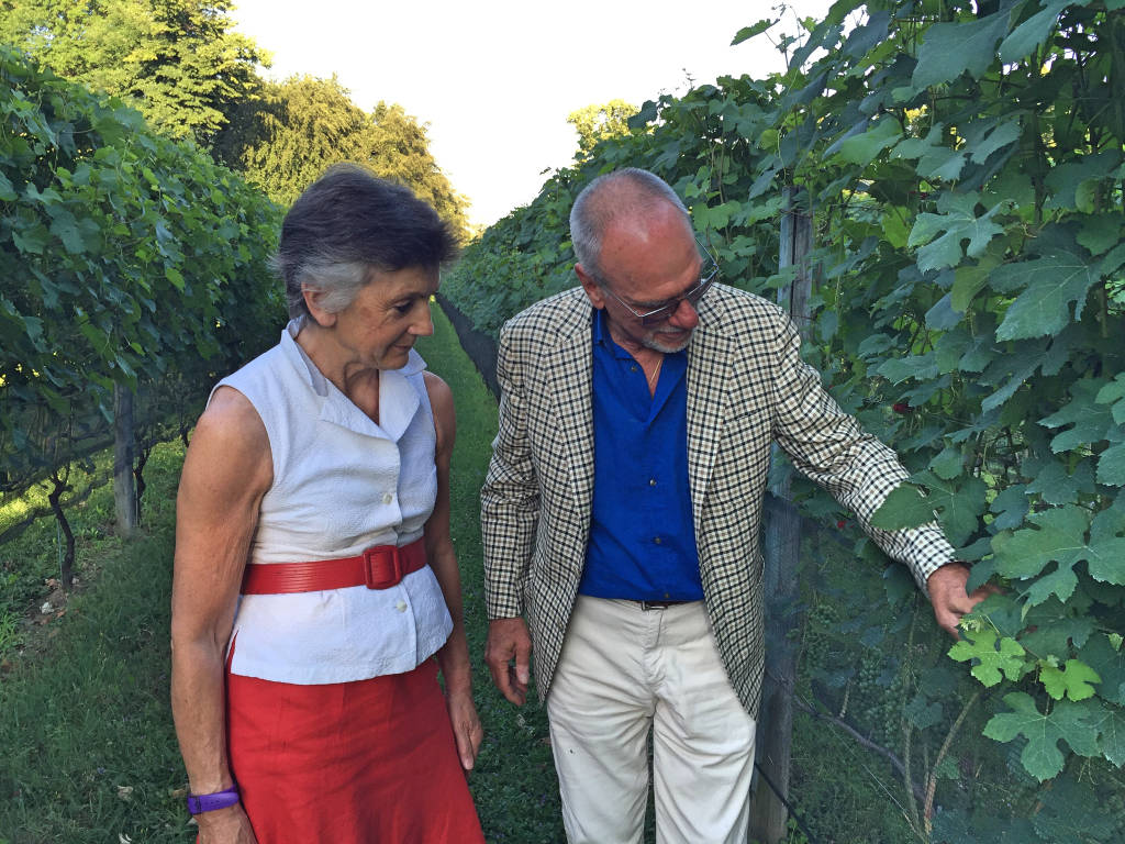 Un vino "da stellati " ad Azzate