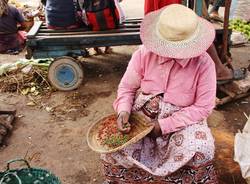 Viaggio in Madagascar