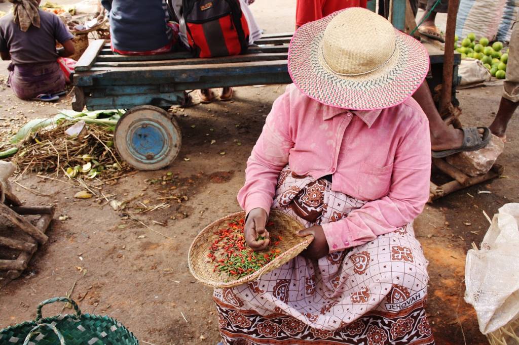 Viaggio in Madagascar