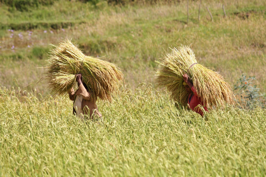 Viaggio in Madagascar