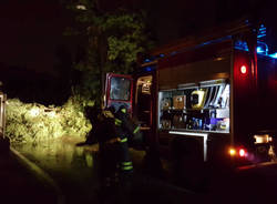 vigili del fuoco notte albero caduto alberi caduti allagamento